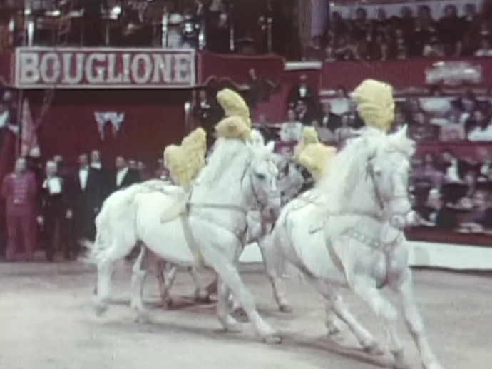 Omar Sharif Et Ses Chevaux Ina