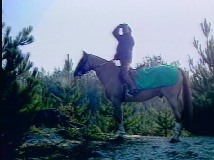 Reportage Portrait De Jean Rochefort Leveur De Chevaux Ina