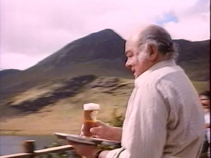 BUCKLER BIERE EN BOUTEILLE SANS ALCOOL INA