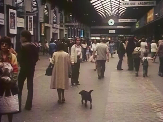 sncf voyager avec son chat