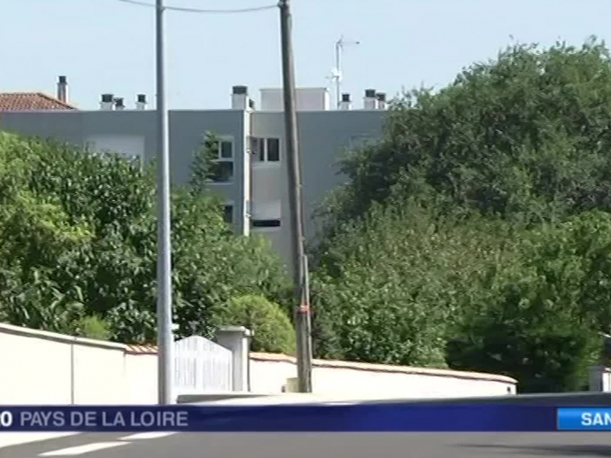 Le moustique tigre arrive en Vendée INA