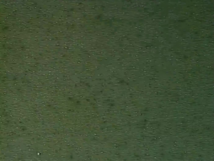 Tour de France auto 1981 INA