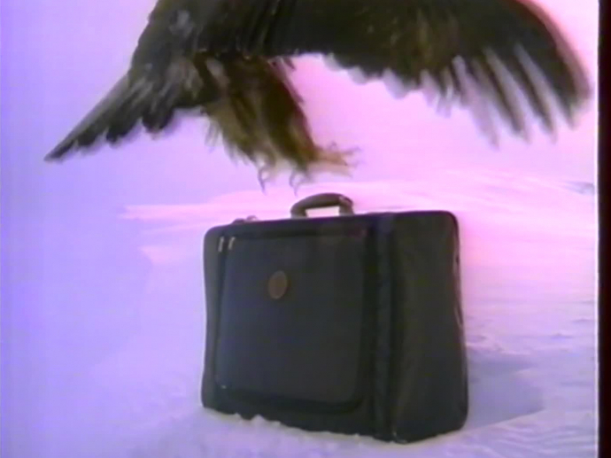 SAMSONITE ULTRA LIGHT VALISE INA