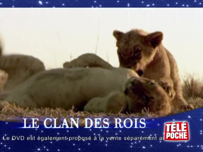 Télé poche : le clan des rois | INA