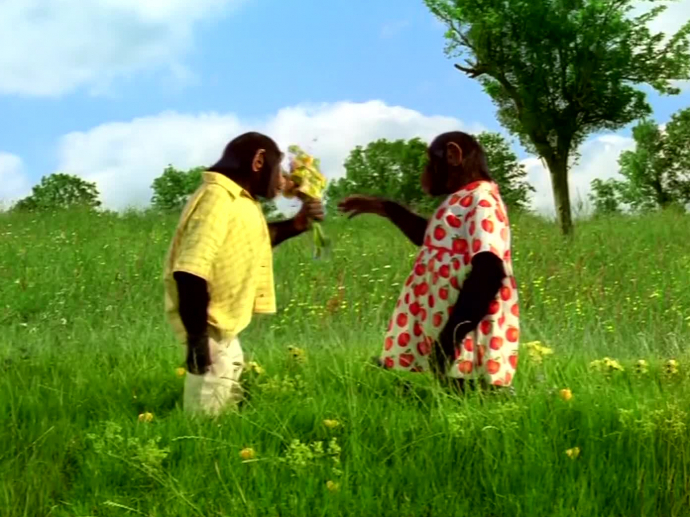 Omo tablets Bouquet INA