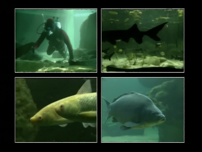 Aquarium du Périgord noir INA Aquarium du Périgord noir INA