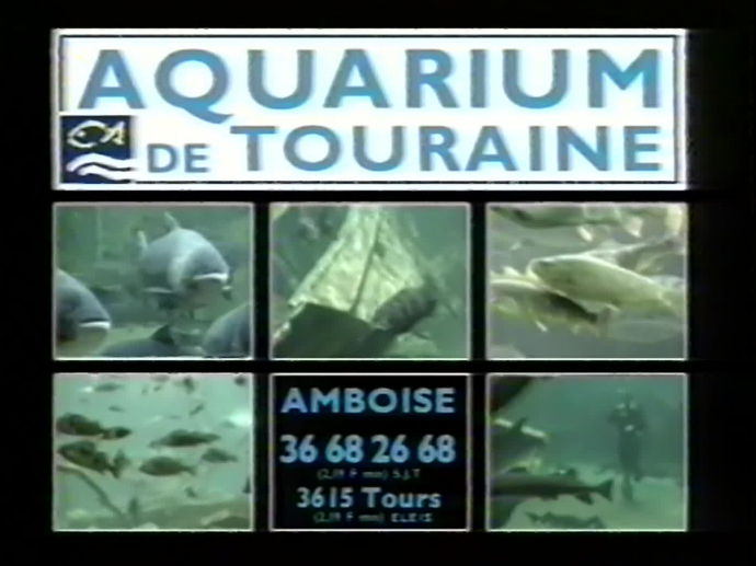 Aquarium de Touraine Visite diurne version 5 secondes INA