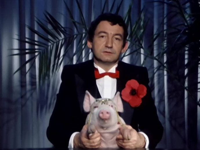 Etudions le cochon narquois INA Etudions le cochon narquois INA