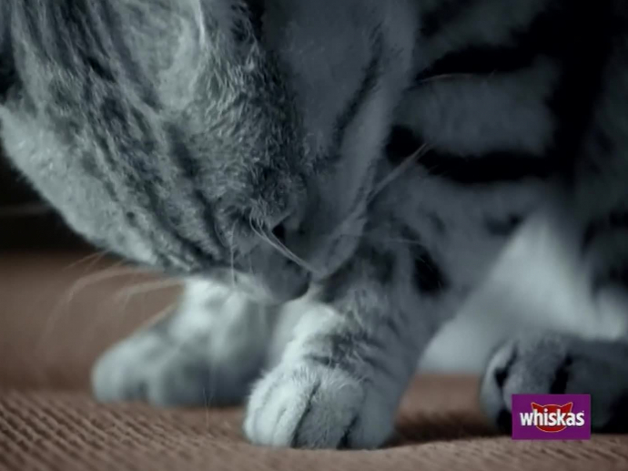 Whiskas Cat's wash INA