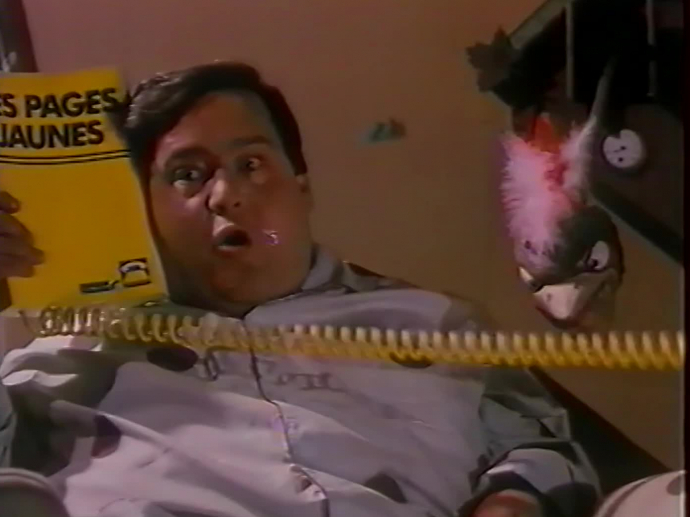 PTT / PAGES JAUNES ANNUAIRE PROFESSIONNEL/PAGES JAUNES INA