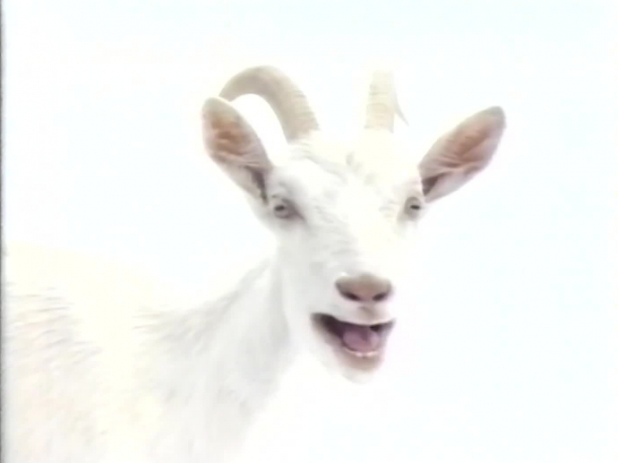 BEL VACHE QUI RIT : FROMAGE CHEVRE | INA