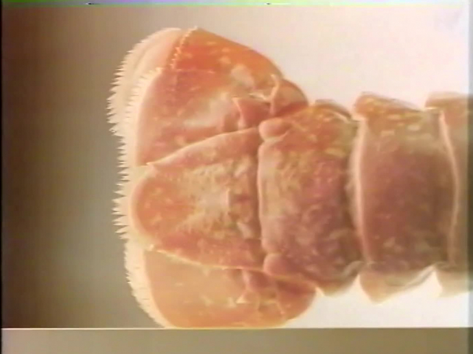 LIEBIG BISQUE DE HOMARD POTAGE BISQUE DE HOMARD CONSERVE INA