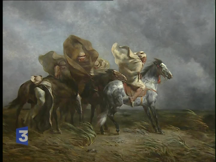 Licol De Spectacle Pour Cheval Arabe Avec Embout - Occasion - Style Oriental