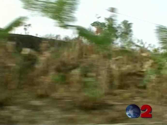 1997, les ravages de la culture sur brûlis | INA