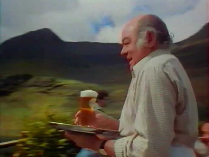 BUCKLER BIERE SANS ALCOOL INA