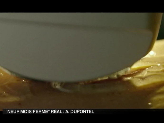 Le film "Neuf mois ferme" | INA