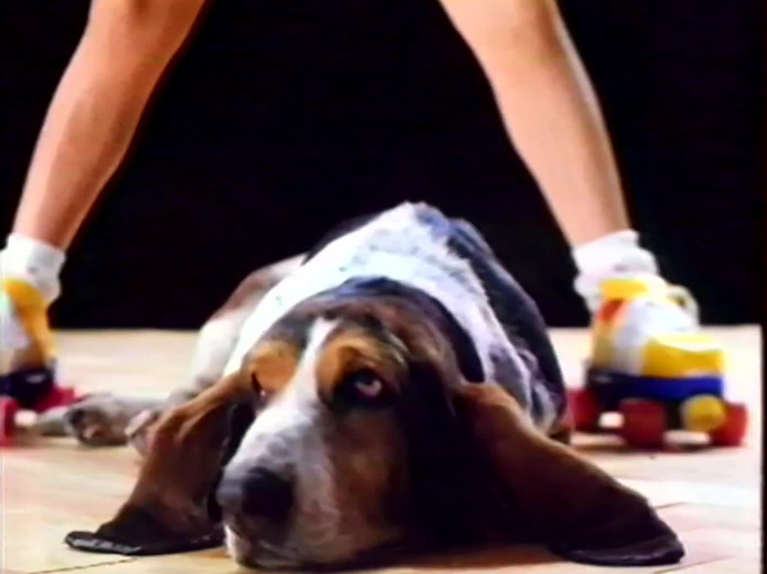 FISHER PRICE : PATINS A ROULETTES | INA