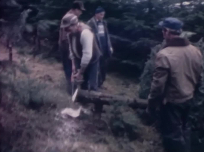 Alsace Histoire du sapin de Noël du 13ème siècle à nos jours INA