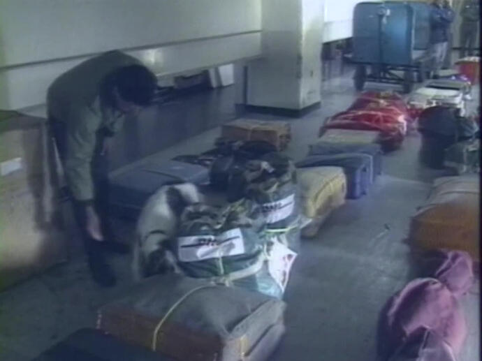 Equateur : plaque tournante du trafic de drogue