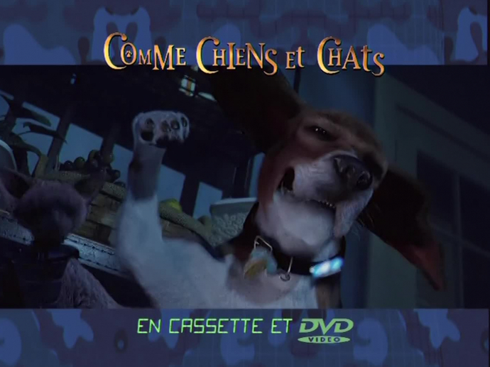 Comme chien et chat : Version chiens | INA