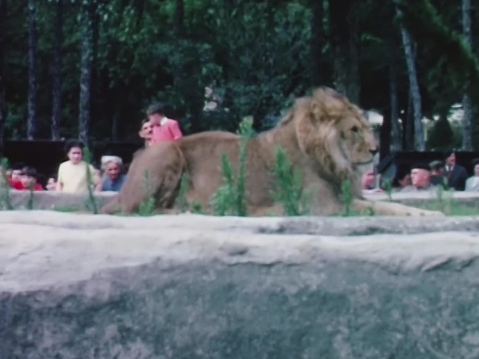 Zoo de Vincennes