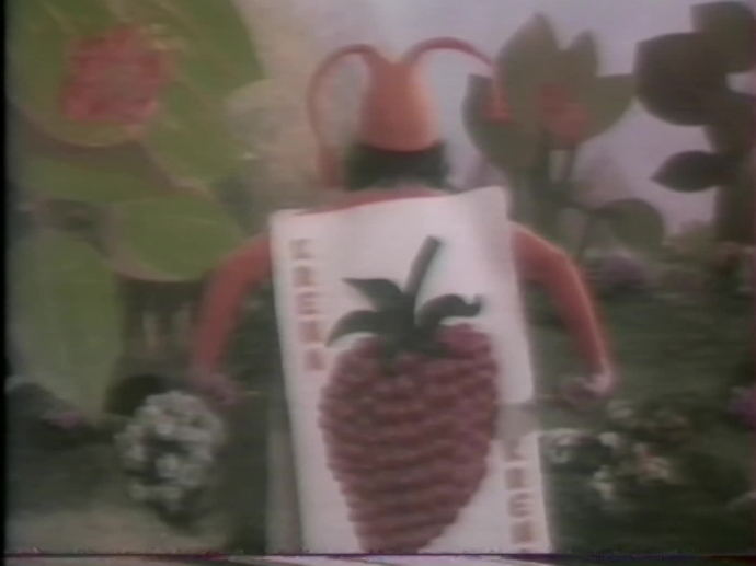 PUBLICITÉ BONBON KRÉMA DES ACIDULÉS FRUITÉS QU'ON APPELLE FRUIDULÉS