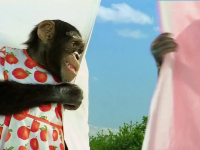 Omo tablets Drap INA