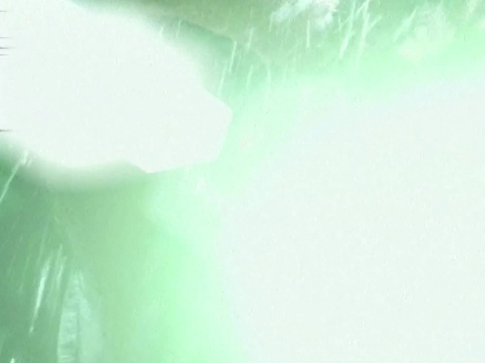 Herbal essences fruit fusions + tag produit de l'année INA