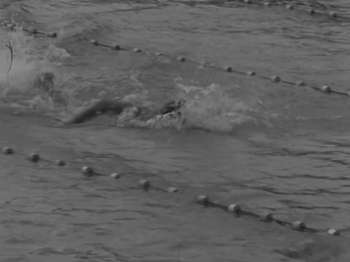 Natation l'équipe de France bat le record du monde du 4 x 100 m nage