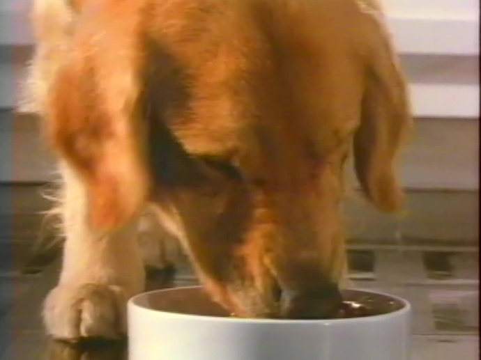 PUBLICITÉ DE PRESSE 1963 CANIGOU MEILLEUR PÂTÉE POUR VOTRE CHIEN ET