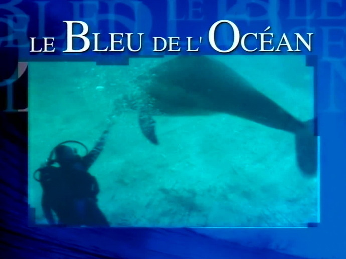 Le bleu de l'océan | INA