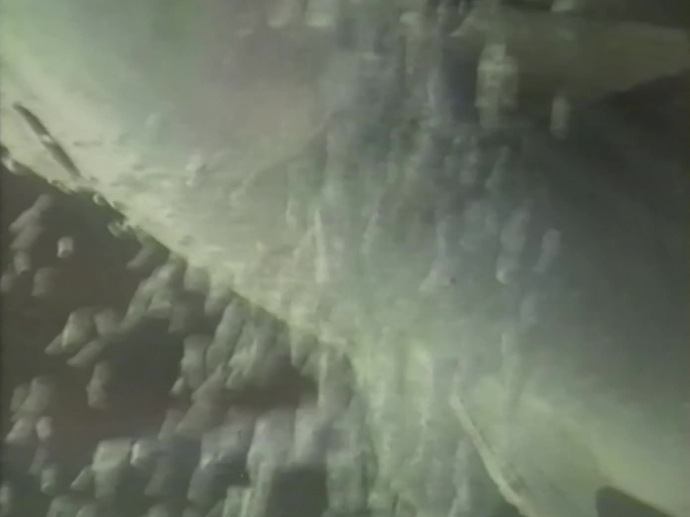 Isle promotion Journées méditerranéennes de la chasse et la pêche95 INA