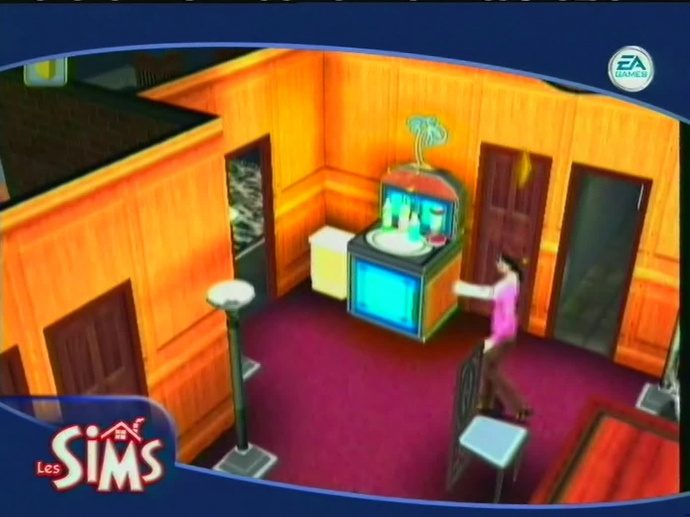 Les Sims 2 jeux ps2 | Kaufen auf