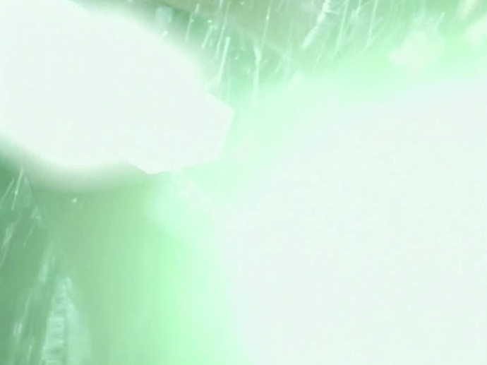 Herbal essences Fruit fusions tag produit de l'année INA