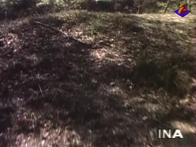 Troisième requête en révision du procès Ranucci | INA