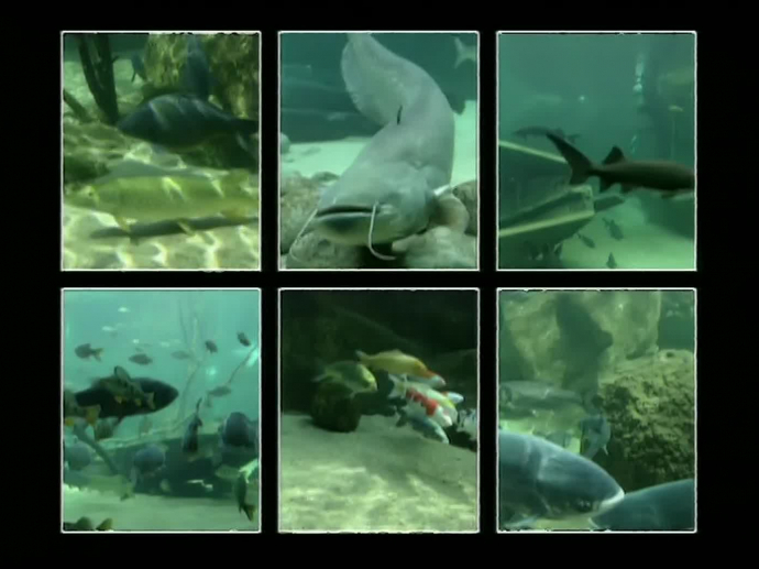 Aquarium de Touraine 97 INA