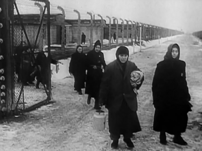 27 Janvier 1945 La Lib ration D Auschwitz Birkenau Par L Arm e Rouge 